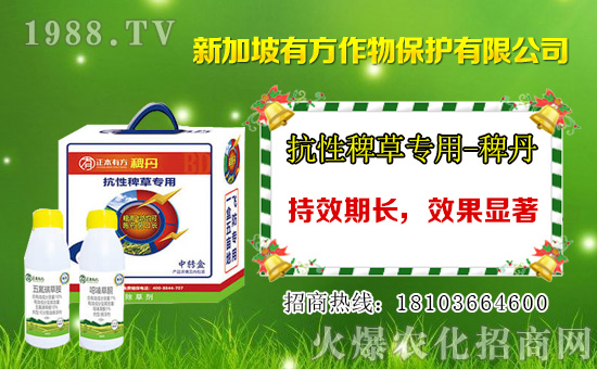 Ȳ�������݄��r(ji��)���߄�2021.01.01