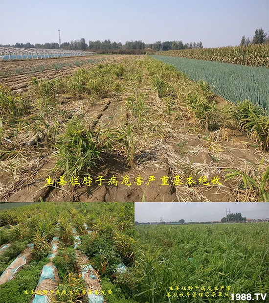     �l(f��)�������a(ch��n)Ʒ������أ�n������ʽ���ؠ����Ӳ����Ñ���������Ч�������ˣ�