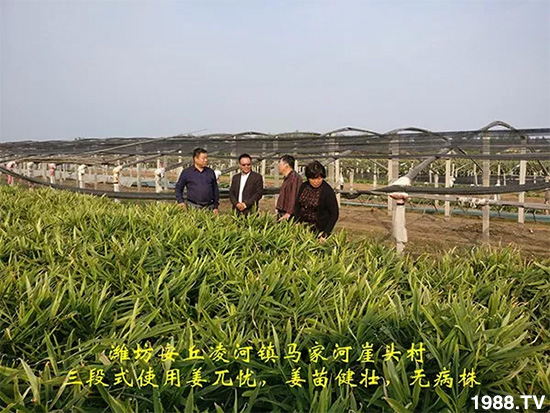     �l(f��)�������a(ch��n)Ʒ������أ�n������ʽ���ؠ����Ӳ����Ñ���������Ч����������