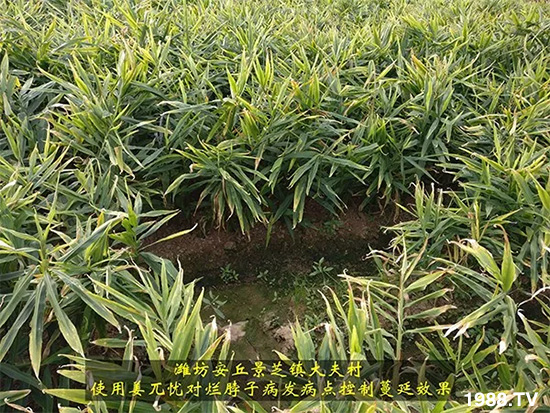     �l(f��)�������a(ch��n)Ʒ������أ�n������ʽ���ؠ����Ӳ����Ñ���������Ч����������