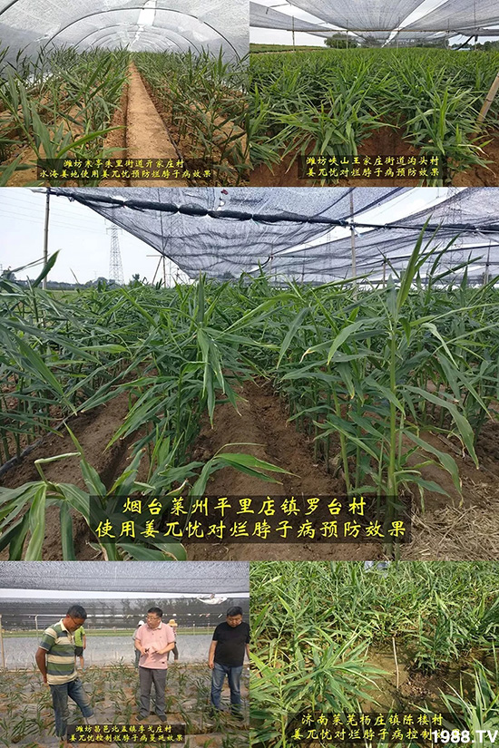     �l(f��)�������a(ch��n)Ʒ������أ�n������ʽ���ؠ����Ӳ����Ñ���������Ч����������