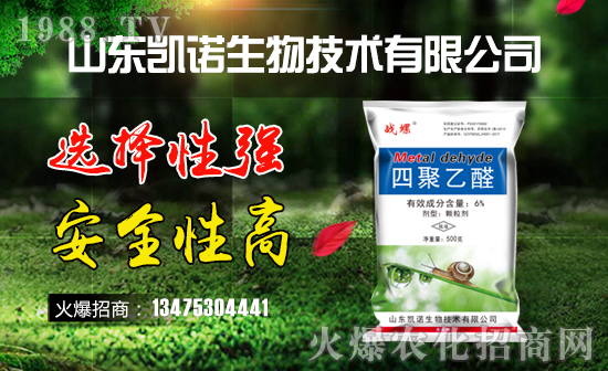 ����ף�R�P�Z���ﺞ�s���v1988.TV���_���W(w��ng)�j(lu��)������ģʽ��