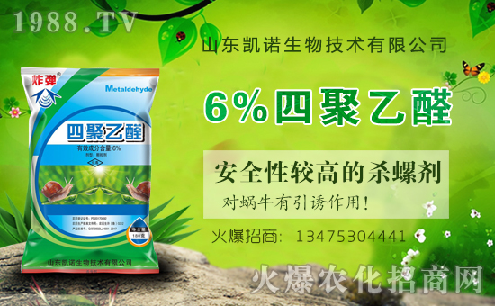 ����ף�R�P�Z���ﺞ�s���v1988.TV���_���W(w��ng)�j(lu��)������ģʽ��