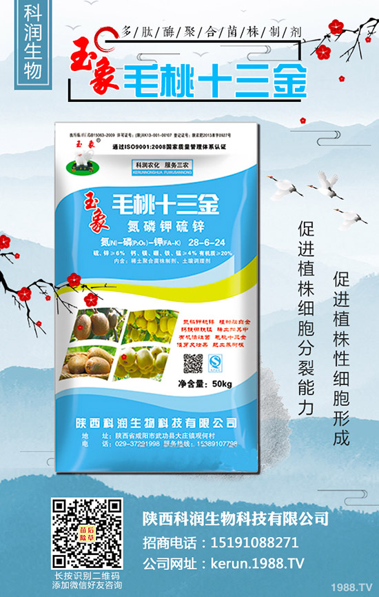     ���裺�����B�m(x��)�q�r�����L(f��ng)�U�����2020-3-13��������r��