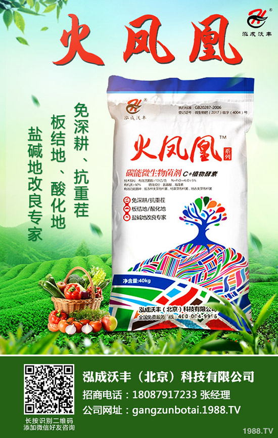 ��Ҋ�������ɺ��x����Щ���������ɺ��x���������