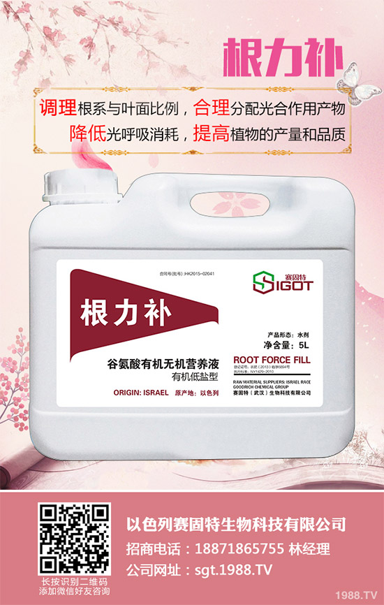 小麥春季常見的病害有哪些?該如何防治?春季小麥病害防治方法介紹