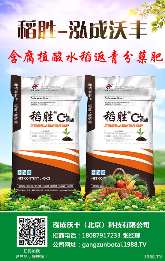 鉀肥行情逐步平穩(wěn)!2020-3-16今日最新硫酸鉀氯化鉀價(jià)格早報(bào)!