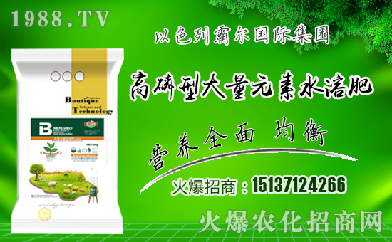 �������\�l(f��)չ����ɫ�аԠ��ٺ�1988.TV�_��(chu��ng)���x����