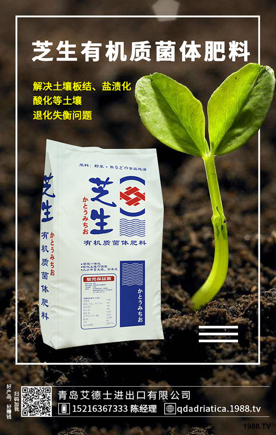 ��������ô��Ч�������������ص�ʹ�÷�����