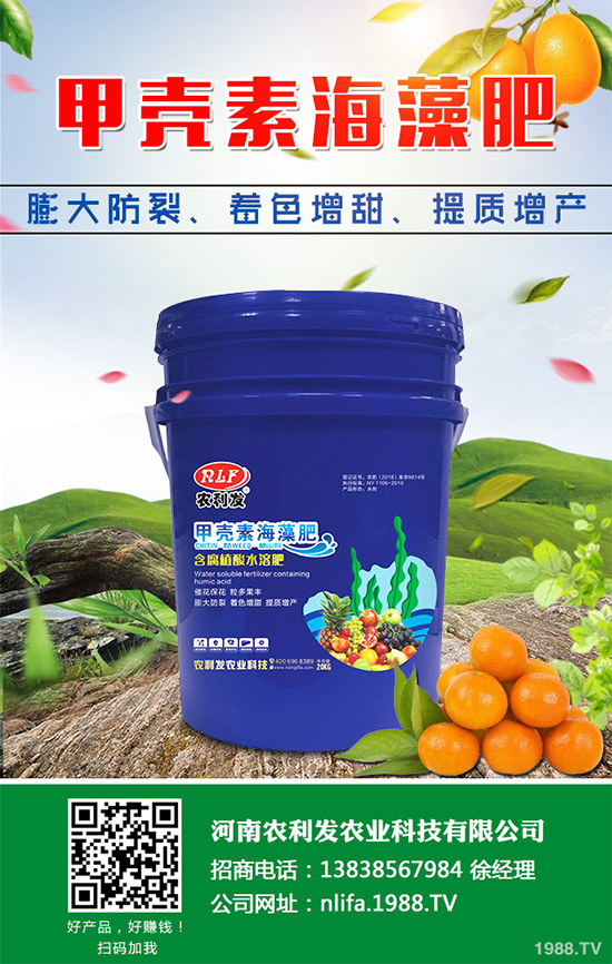 種植白術(shù)掙錢(qián)嗎?2020白術(shù)種植前景及效益分析