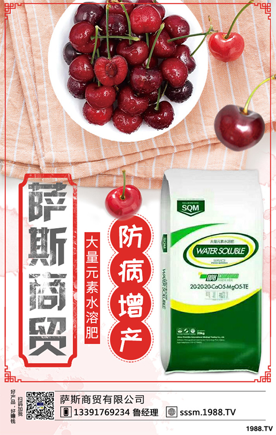 ������ԓ��ηNֲ���紺���׸߮a(ch��n)�Nֲ���g(sh��)Ҫ�c(di��n)