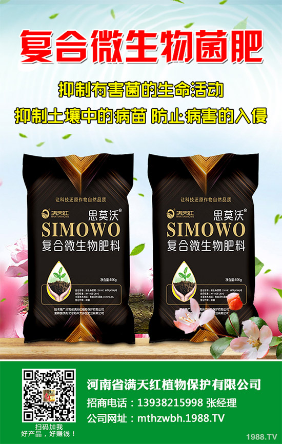 �����������ʩ����2020�괺���׿ƌWʩ�ʽ��h