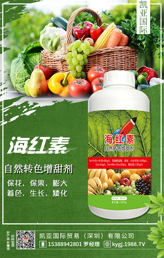 �����}��ʲô�r(sh��)�g�Nֲ�������}���Nֲ������