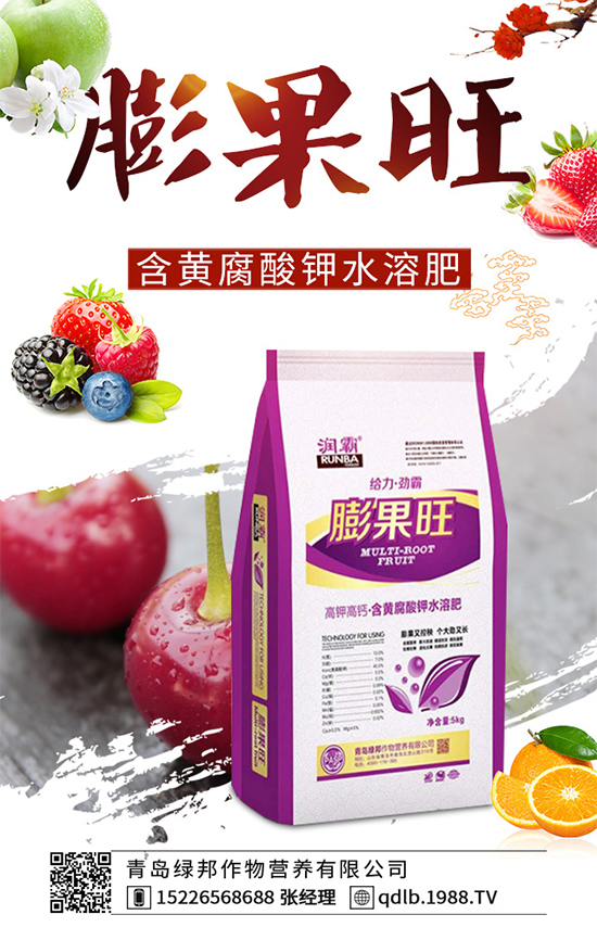 ����������Щ���湦Ч���R���ӵĹ�Ч���ü�ʳ�ý���