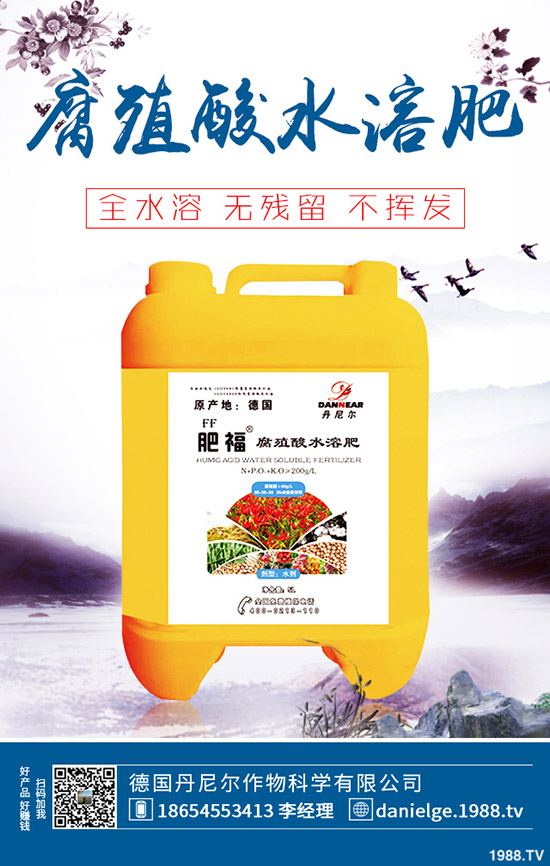 ������ô���ٴ�ѿ�����˴�ѿ�����������