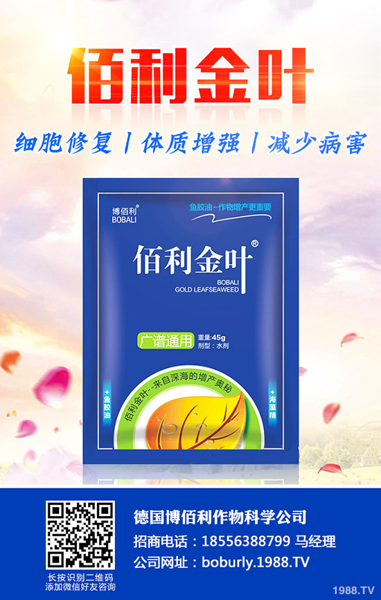 ����(sh��)����A(y��)���ʺ����l(f��)���ʺ�������a(b��)����