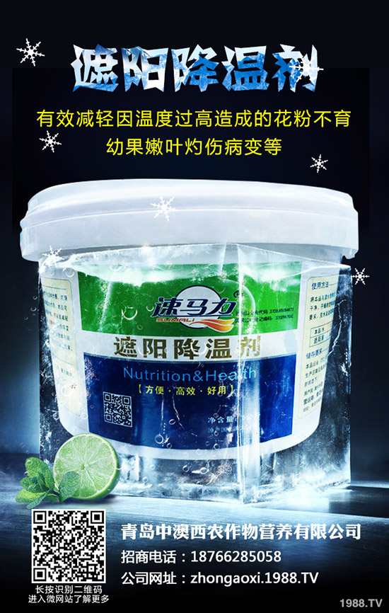 高品質(zhì)花椰菜怎么施肥?需掌握這幾點(diǎn)!