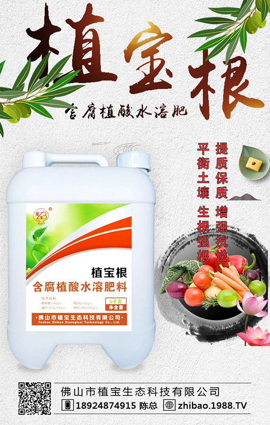 �紺���������Jʲô�r�g�N�������J��ֲ�����Ҫ�c(di��n)��