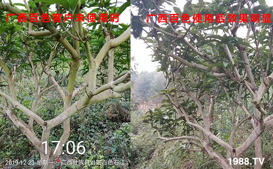 �V����ɫ�͑�δʹ�Õr(sh��)��ʹ�ú�Ч�����@��