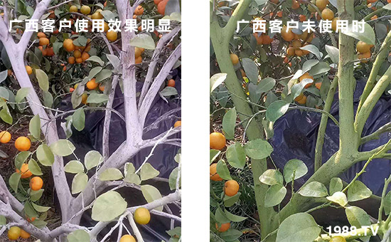 �V���͑�ʹ��Ч�����@��δʹ�Õr(sh��)��