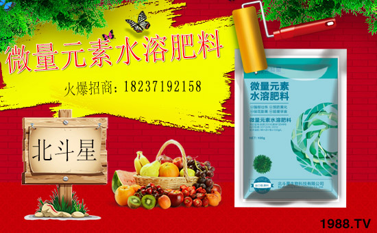 1988.TVϲӭ�»�������ϱ����ǔy��1988.TV���Aδ����