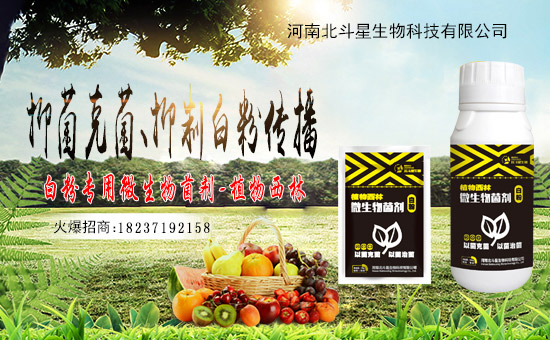 1988.TVϲӭ�»�������ϱ����ǔy��1988.TV���Aδ����