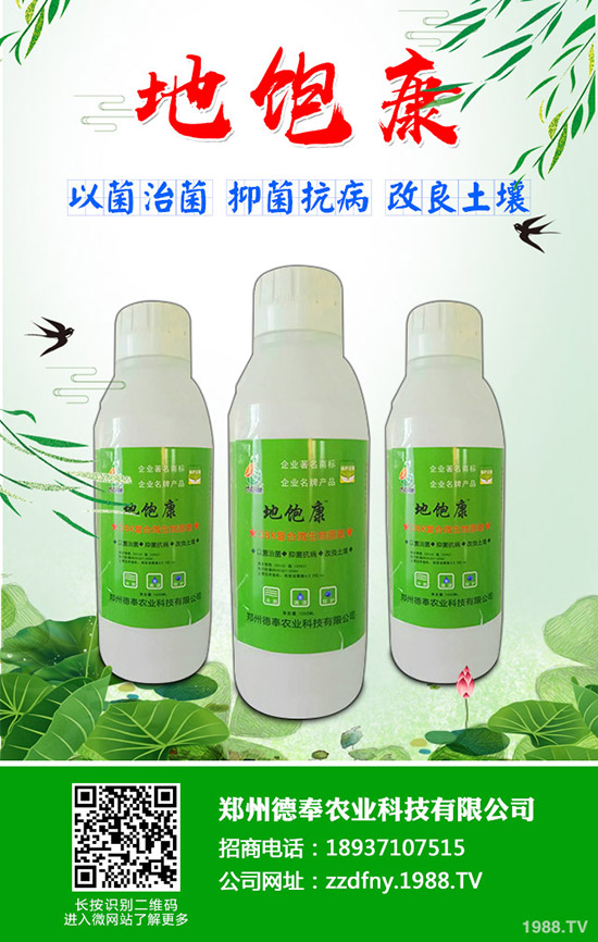 �ϹϺ��ǲ�����Щ�Y�����ϹϺ��ǲ����η���