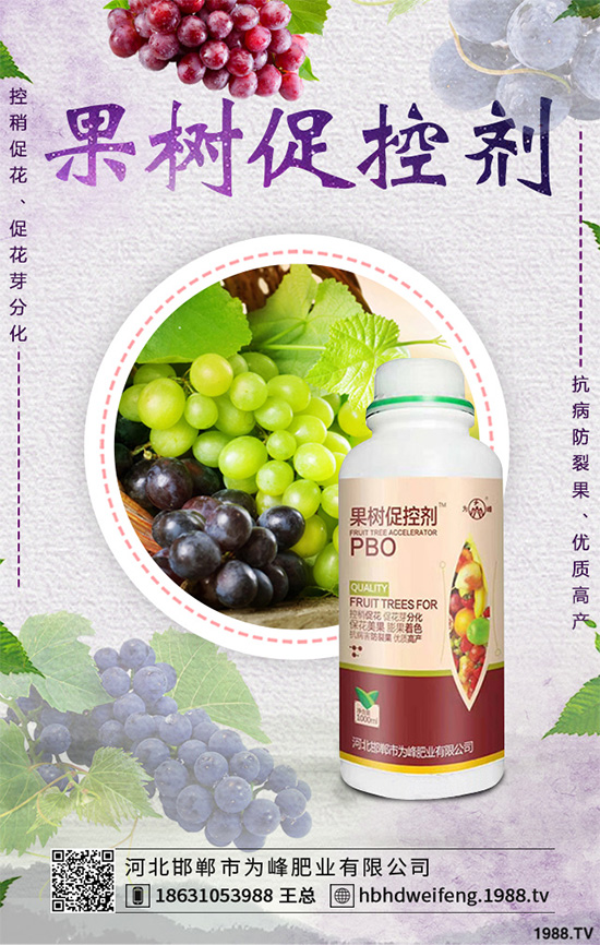 �t�����缼�g