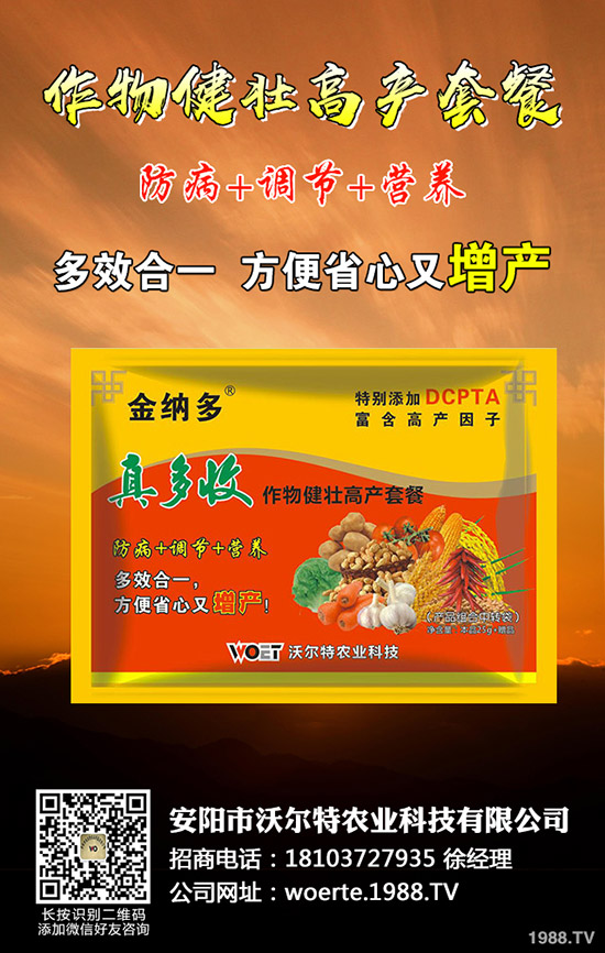 ������ô�N����������ѷNֲ�r(sh��)�g�����༼�g(sh��)��