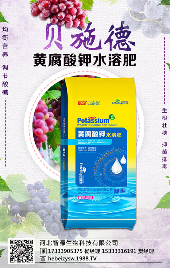 ���ϵ��������ڣ����ϲ��NҪ�c���Nֲ�ܶ���