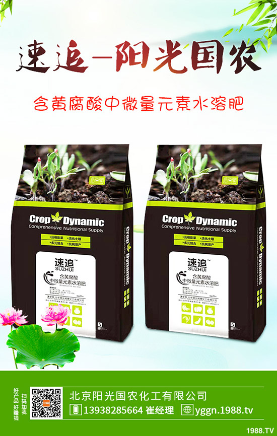     2020-4-10�׷ʴ����Ј���β�A�������@�r�����{���������������߄ݷ�����