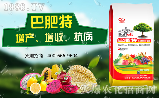 �ӱ������r(n��ng)�I(y��)�m(x��)�s1988.TV�����\�����°l(f��)չ��