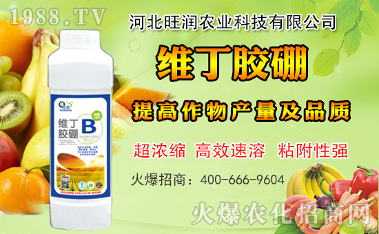 �ӱ������r(n��ng)�I(y��)�m(x��)�s1988.TV�����\�����°l(f��)չ��