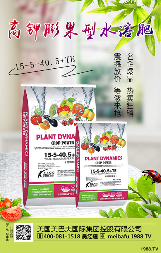 �ϹϷ��Ďׂ����L�A�����Ϲό��������I�B(y��ng)Ҫ��