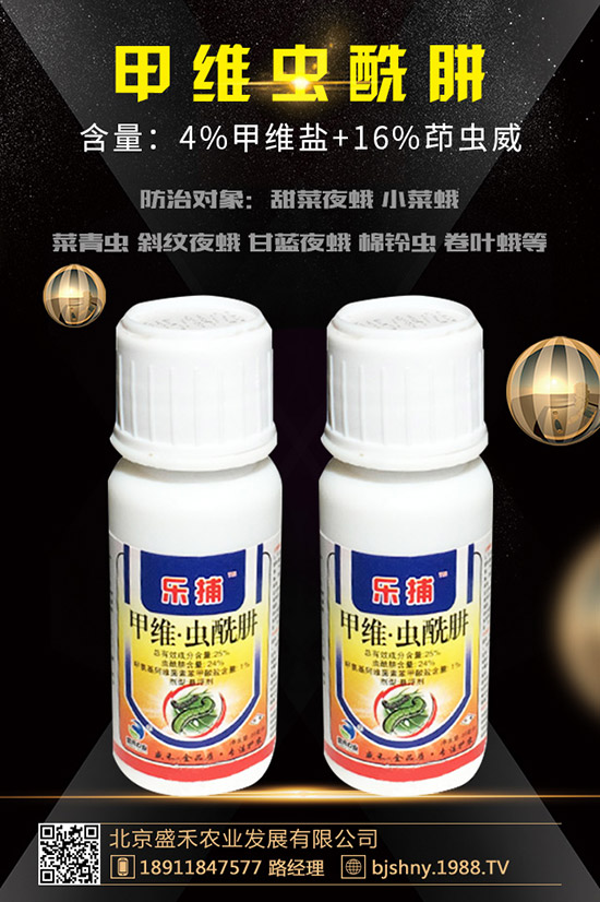 С���t֩��İl(f��)��Ҏ(gu��)������Щ��С���t֩����δ�ʩ��