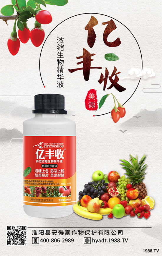 ɽ������ôǤ�己ֳ��ɽ��������μ޽���