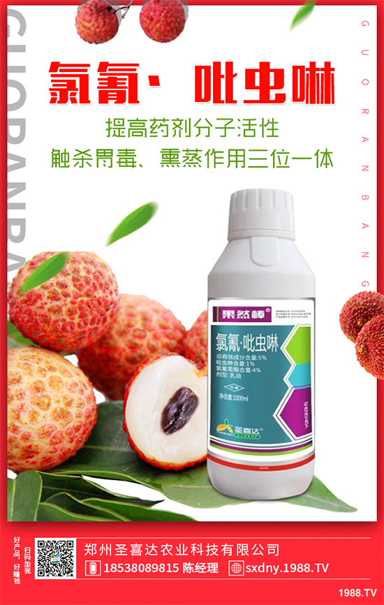 ���x���r���r