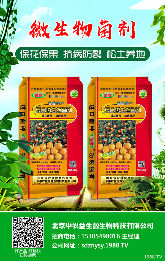     С���к�����Ҫ��������Щ����η��������μ��g(sh��)ָ��(d��o)��Ҋ����Щ��