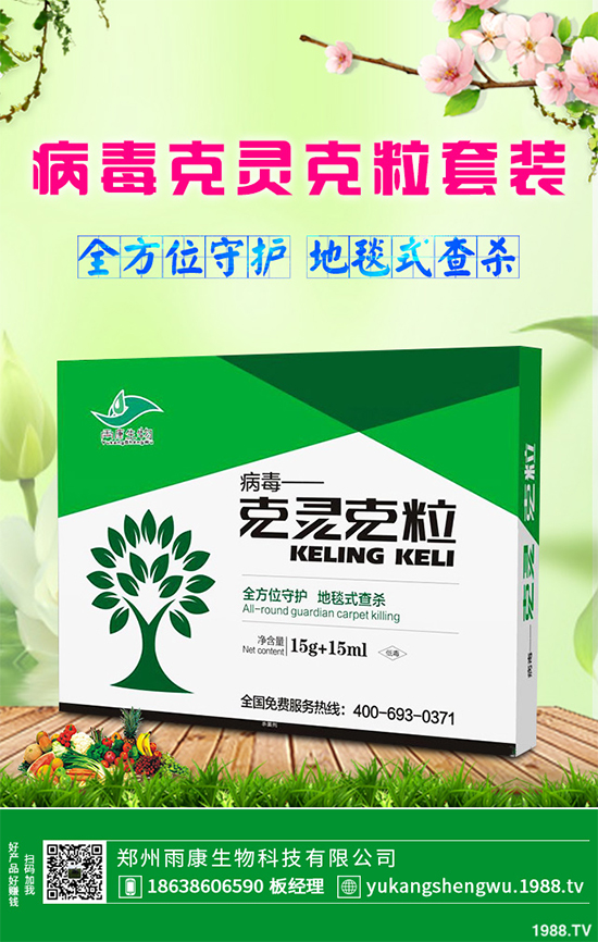 �W�ˌ�Ҫ���á���ɭ�i�\����