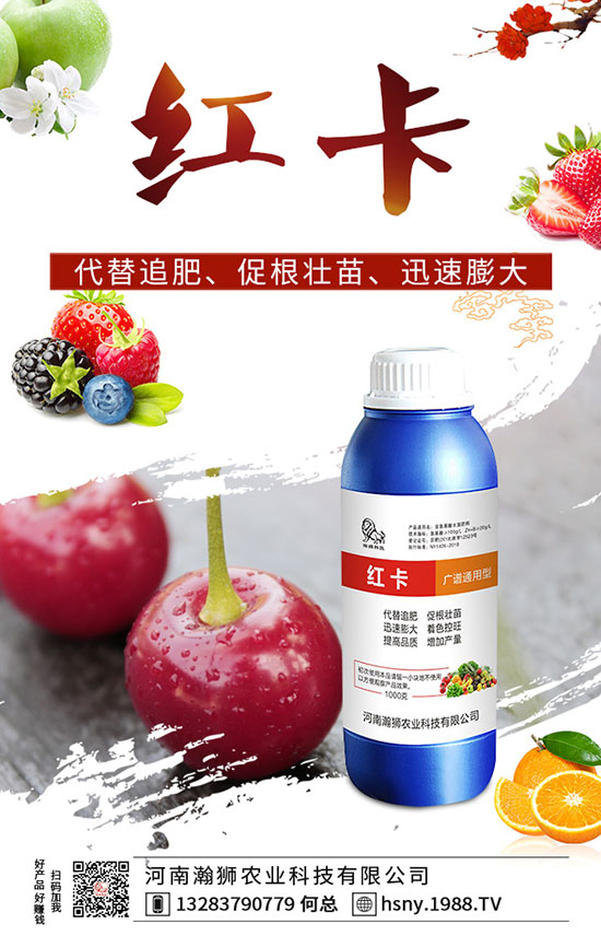 �����������ι�����������������Լ��g(sh��)Ҫ�c