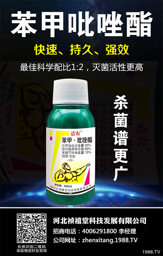 ������������~���򊙊����t��ǰ������