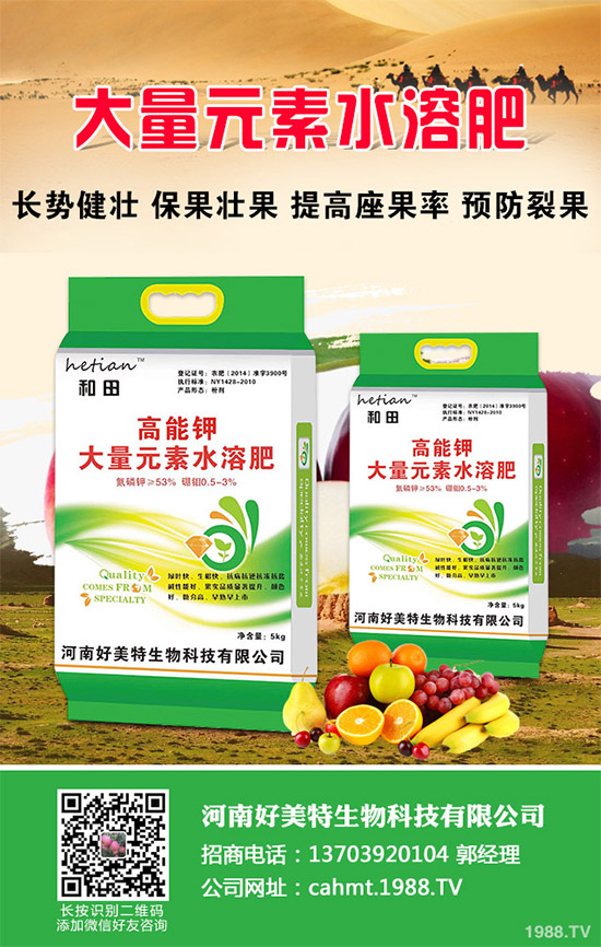 細(xì)香蔥如何種植才能高產(chǎn)?需要注意什么?這五個小技巧分享一下!