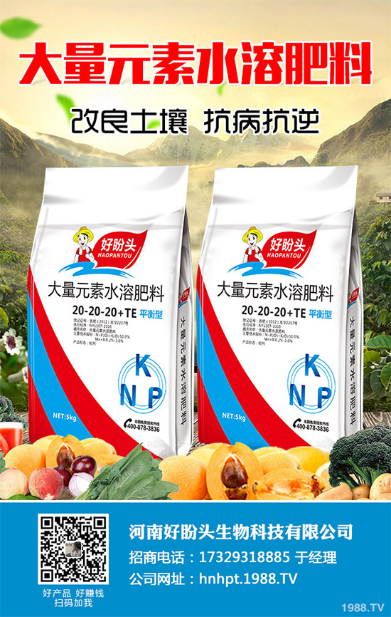 無花果有哪些營養(yǎng)價值?無花果的功效作用及食用禁忌