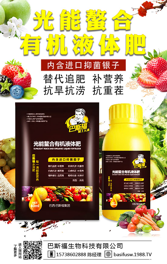 ��˹�������m(x��)�s1988.TV��������I(y��)���x����