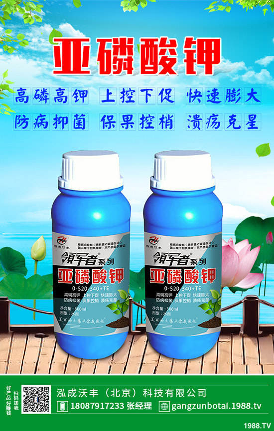 �S�Ϗ�����ʲôԭ�������S�Ϗ��ϸ���Ҫ�E��