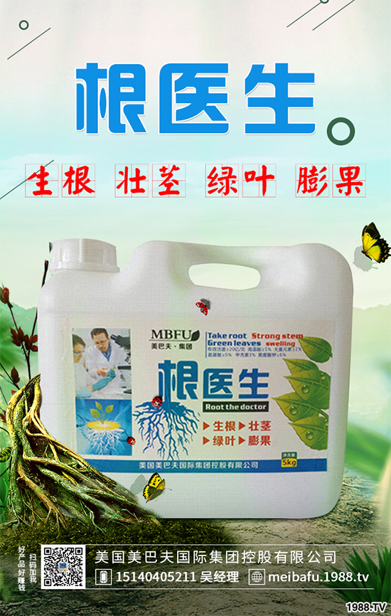 ������ʲô�r�򲥷N���������Ĳ��N�r�g��ע�����