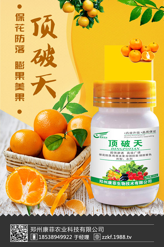 菜豆怎樣施肥才能高產(chǎn)?菜豆需肥特點與施肥技術(shù)!