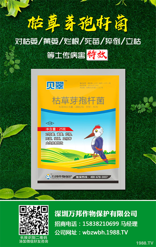 С����ù��ˎ������Ч����������׃����