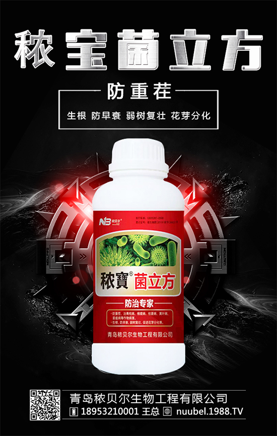 ����ʲô�r(sh��)����Բ��������պ�İ�����ô̎����