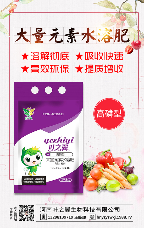 �������L(zh��ng)��(x��)������Щ�����ɵ����g����Ҫ�c(di��n)��